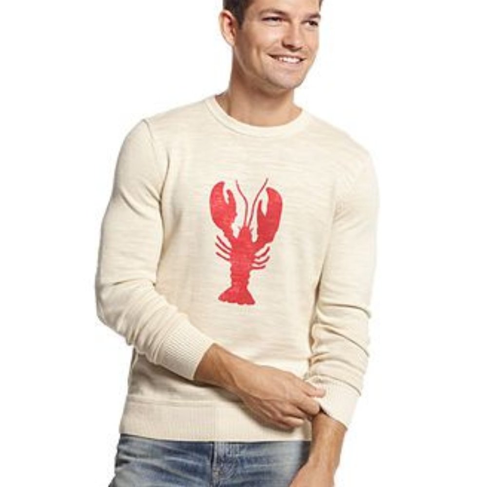 TOMMY HILFIGER MENS SIZE LARGE COTTON SWEATER